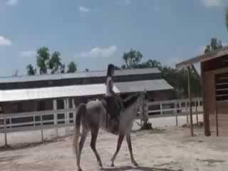 Kuiken van thailand rijden een paard